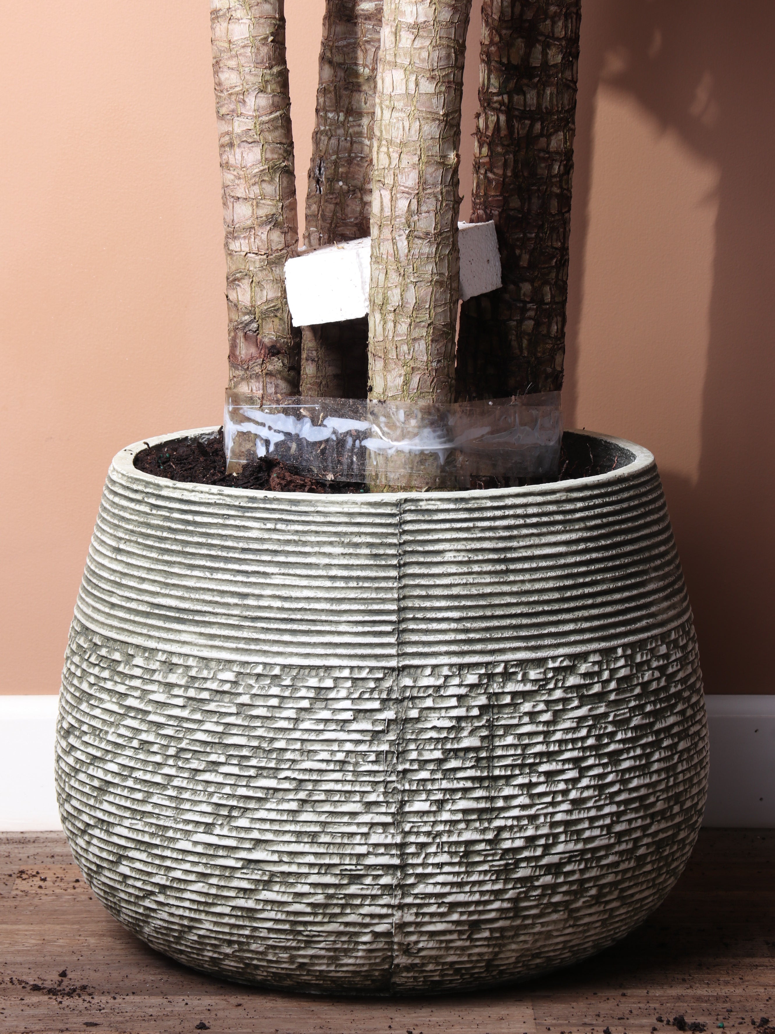 Half Moon | Fits: 10", 14" Plants