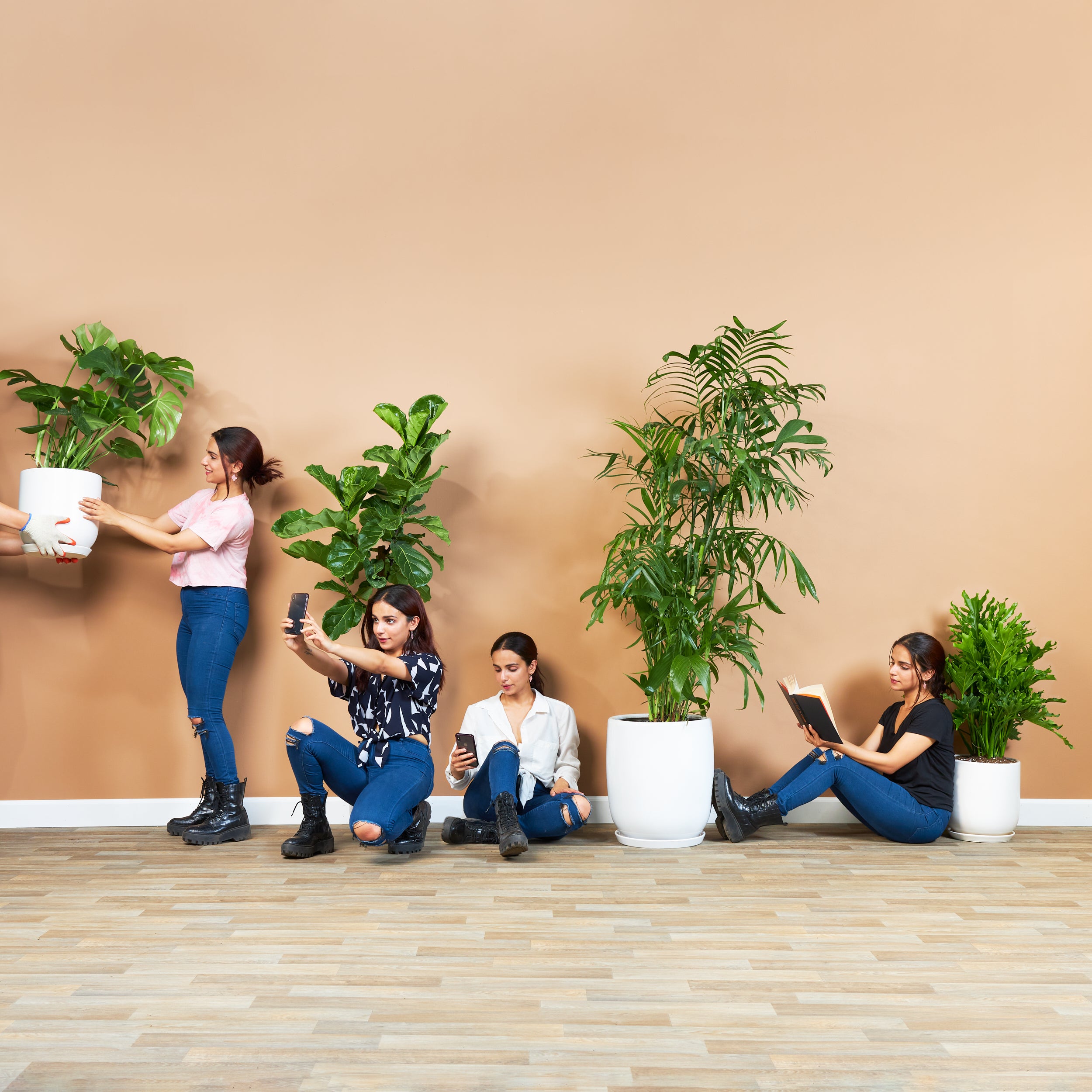Floor Plants