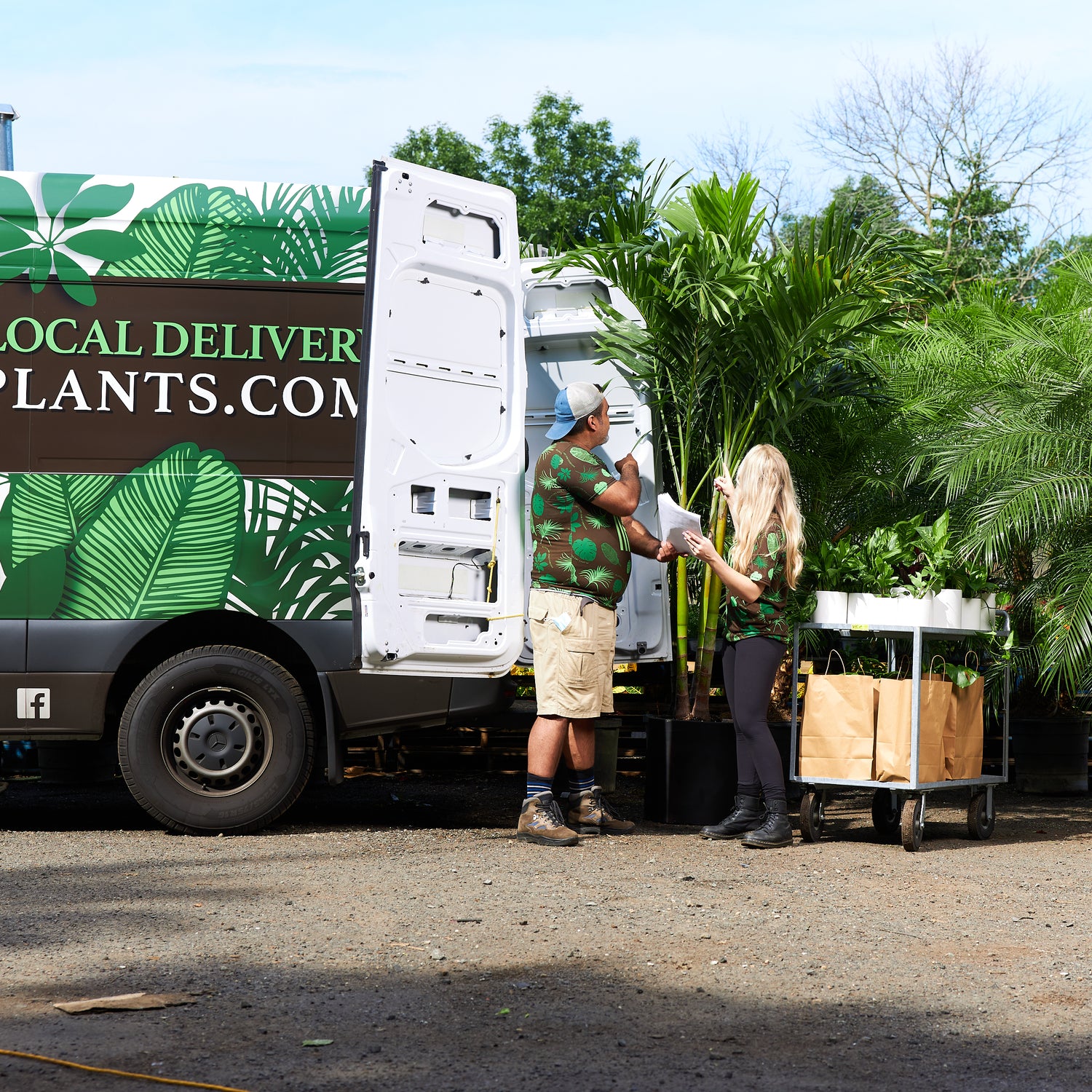 6ft-9ft Tall HUGE Plants