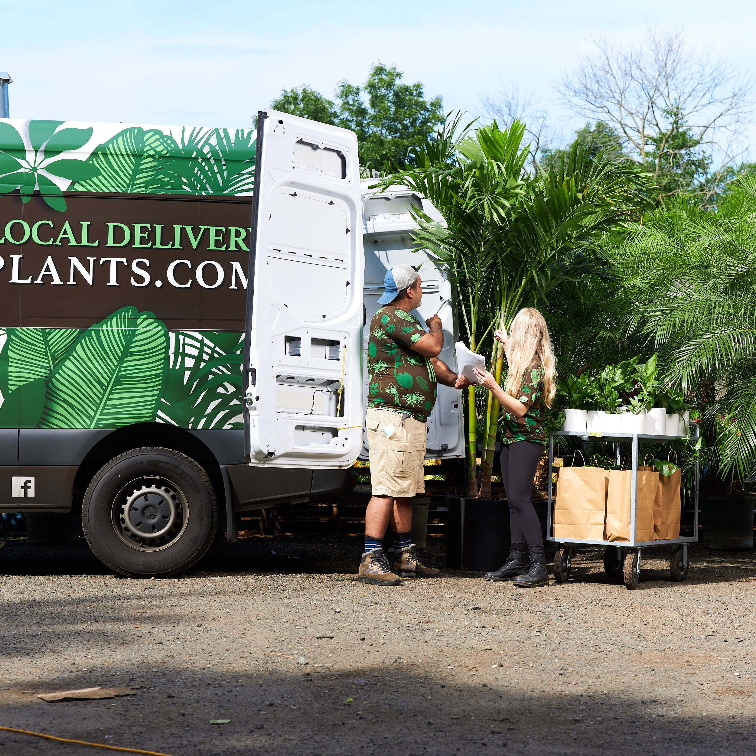 6ft-9ft Tall HUGE Plants