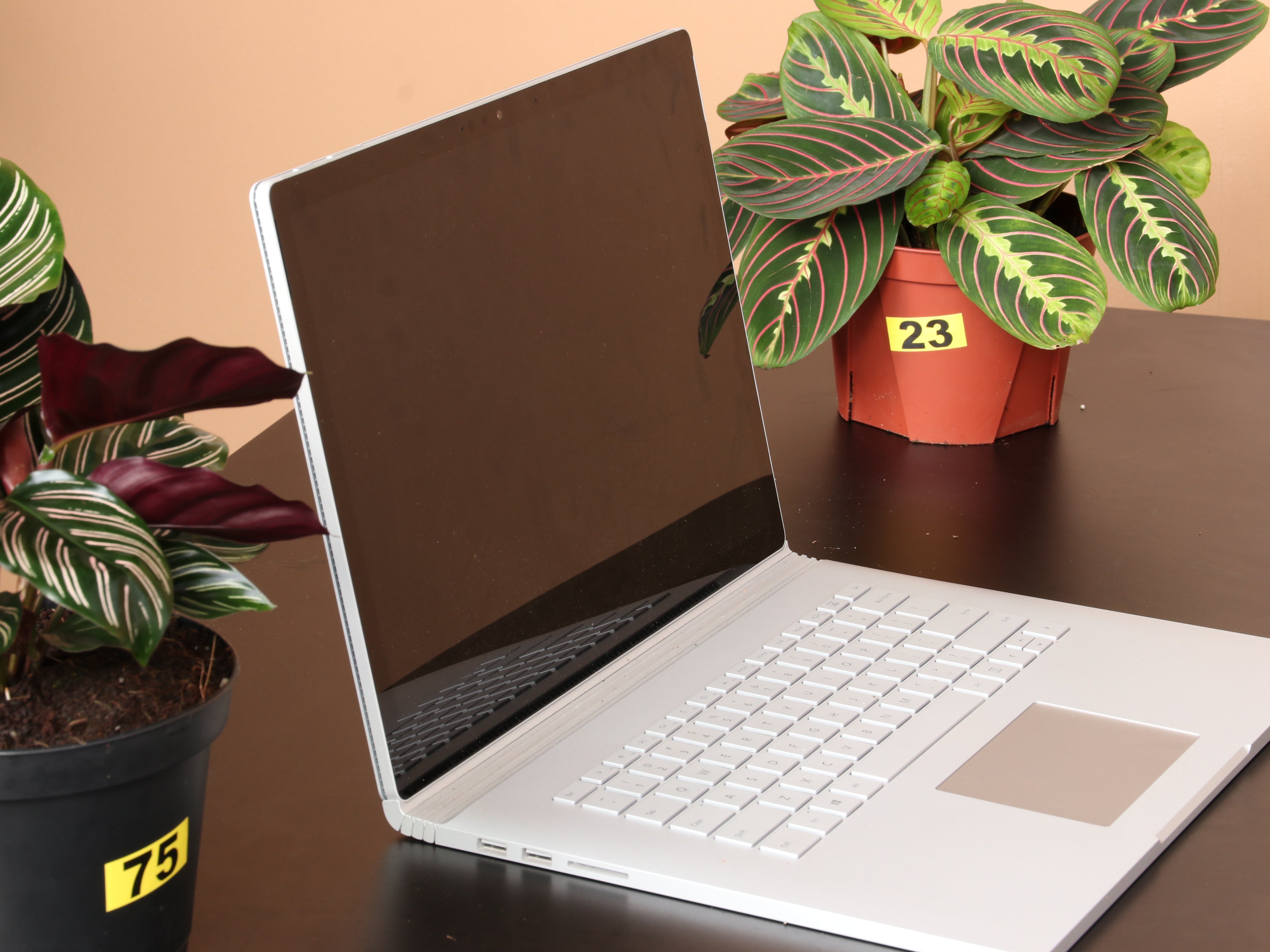 Desktop Plants