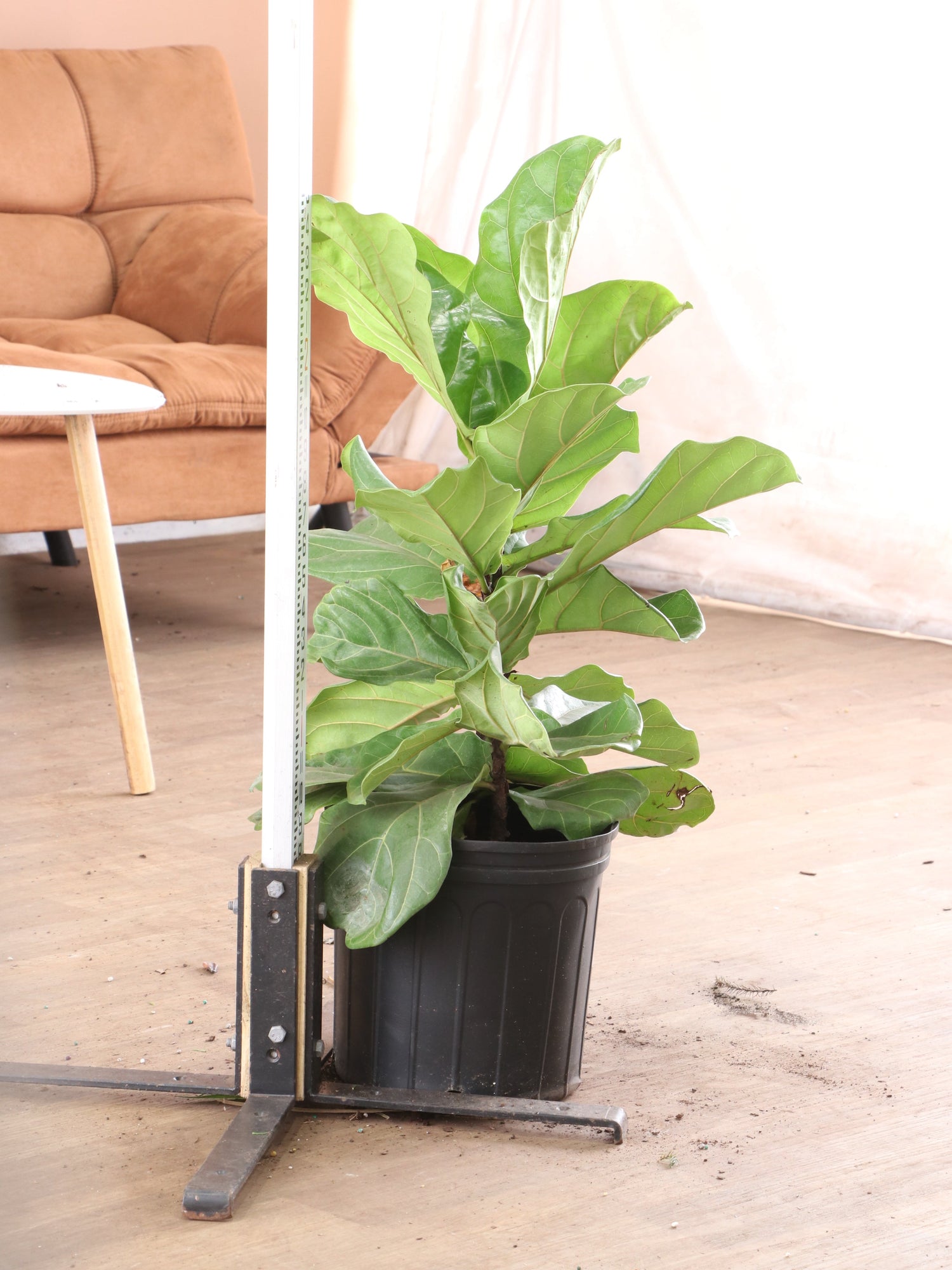 spl|00003